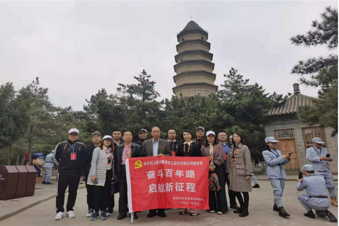 四川金象党委纪念建党100周年专题教育培训活动(图7)